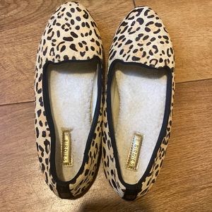 Birdies the starling flat